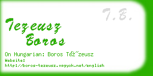 tezeusz boros business card